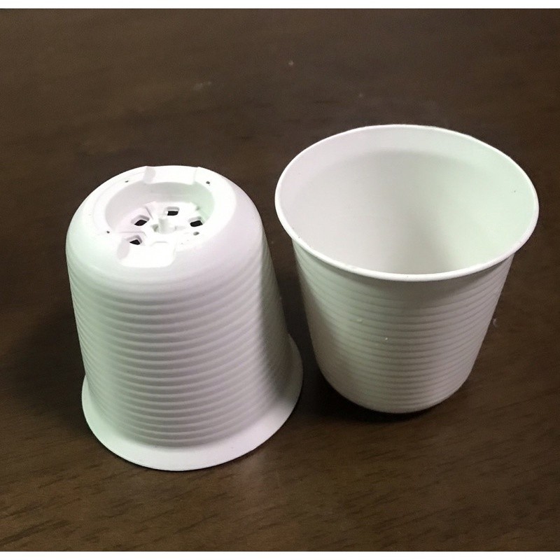 กระถาง 2.5 นิ้ว 3นิ้ว ทรงถ้วยจีน ชุด50ใบ และ 100 ใบ สีขาว เทา อิฐ ดำ