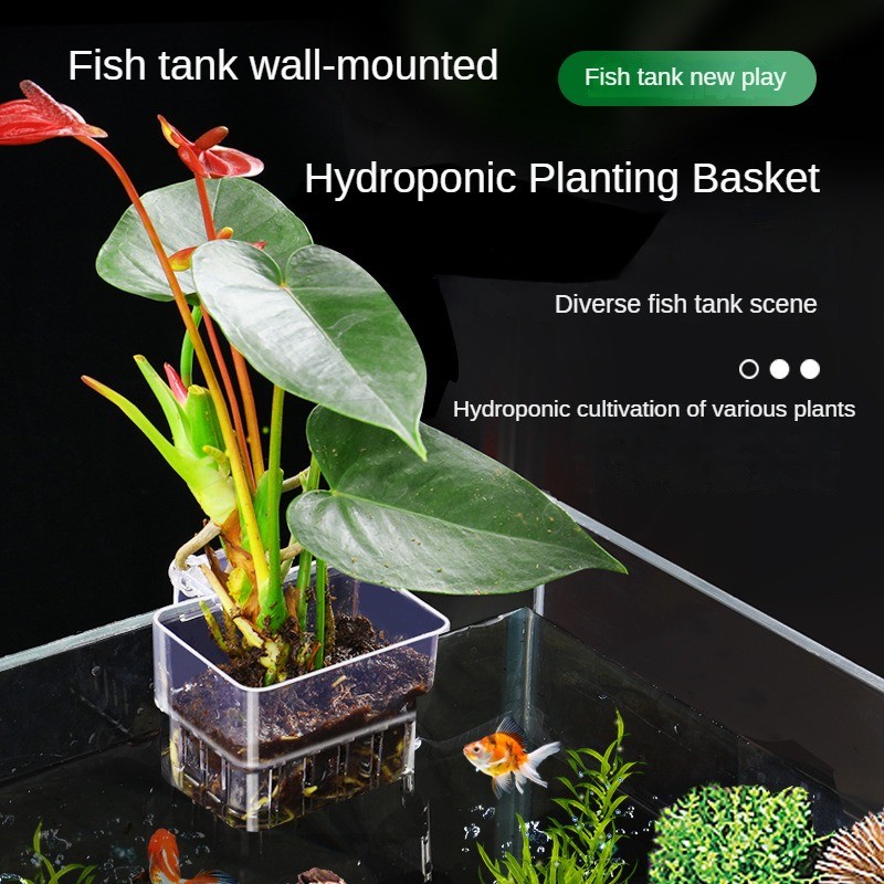 ถังปลาโปร่งใส Hydroponic ตะกร้าพืชติดผนัง Water Plant Rack น้ําในครัวเรือนปลูกถ้วยภูมิทัศน์