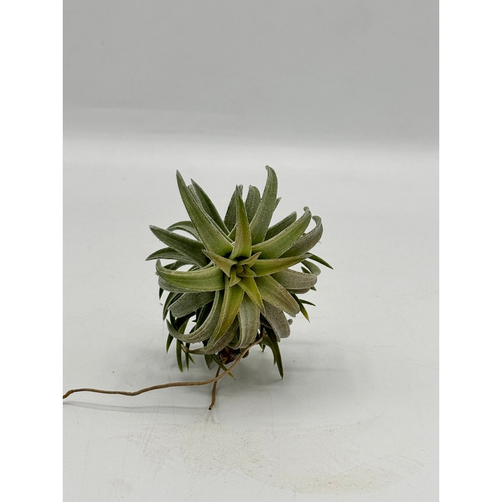 มุมมอง 3