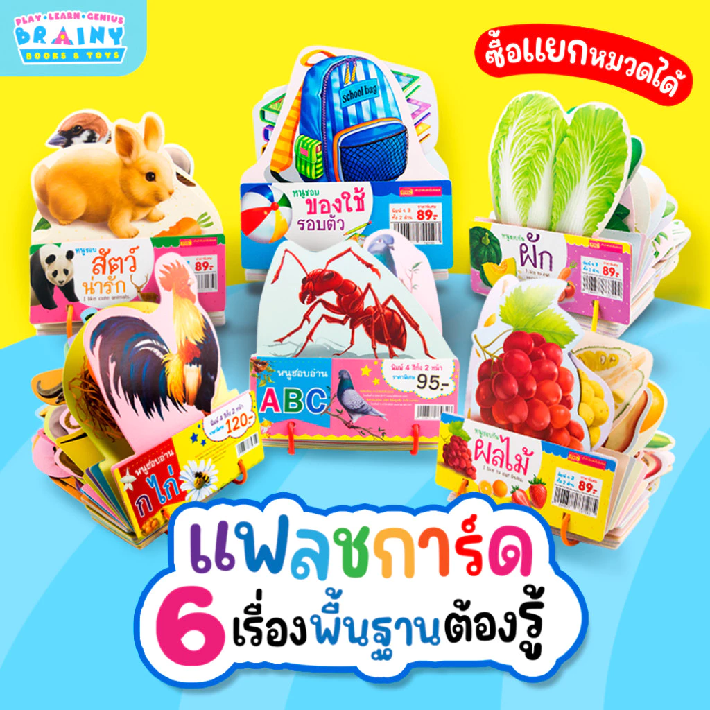แฟลชการ์ดชุด Flash Card ของหนู 6 เรื่องพื้นฐานต้องรู้