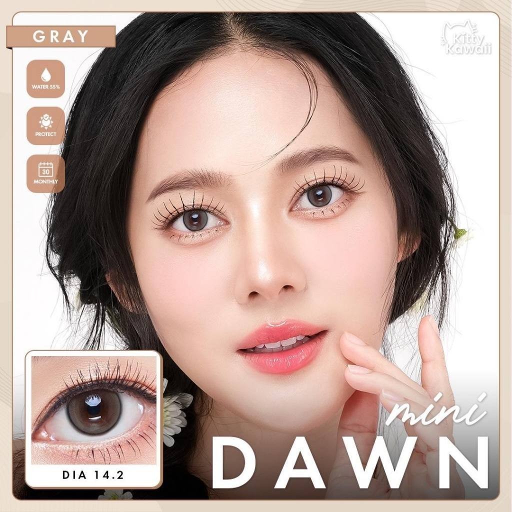 🔥คอนแทคเลนส์ ❤️Size : S❤️รุ่น Mini Dawn (kittykawaii) สี : Brown / Gray / Light Brown