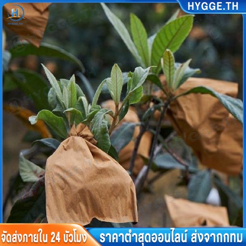 HYGGE ถุงห่อฝรั่ง คาร์บอนขนาด ถุงห่อผลไม้ 20*30 ซม 100 ใบ ถุงห่อมะม่วงชุนฟงแพค 2 ชั้น กันน้ำ กันแมลงและนก แข็งแรงทนทาน
