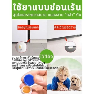 8 เม็ด/กล่อง พิษแมลงสาบ ยาเม็ดเดียวฆ่ารังแมลงสาบได้ แมลงสาบจะกลัวเมื่อเห็นพวกมัน