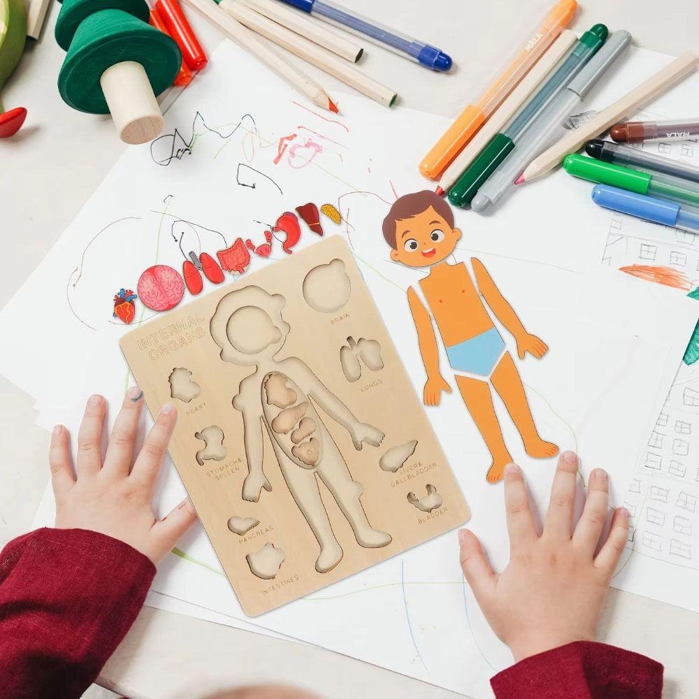 Huimao ไม้ปริศนาร่างกายมนุษย์, หลายชั้นชายหญิงปริศนาโครงสร้างร่างกาย, กิจกรรม Busy Board Montessori แผงของเล่นการศึกษา Anatomy จิ๊กซอว์เรียนรู้ชิ้นส่วนร่างกาย