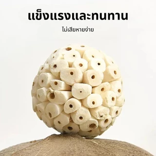 ลูกบอลรากไม้ วัสดุจากธรรมชาติ สำหรับสัตว์ฟันแทะและนก