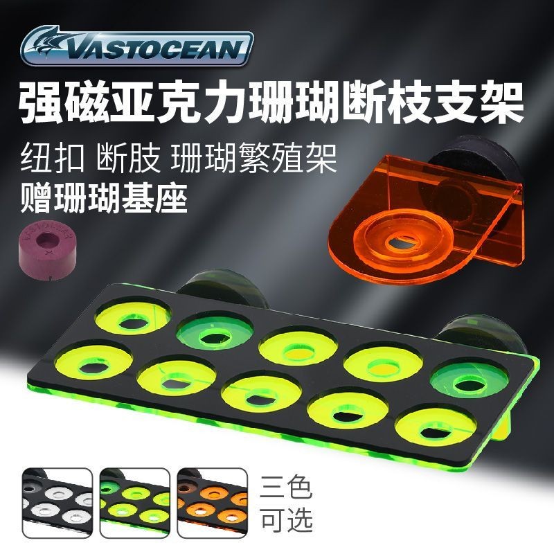 Coral Frag Rack Triple Frag Acrylic / placemat Coral Reef Tank Zoa Yellow Sps Lps Zoa Montipora Acro