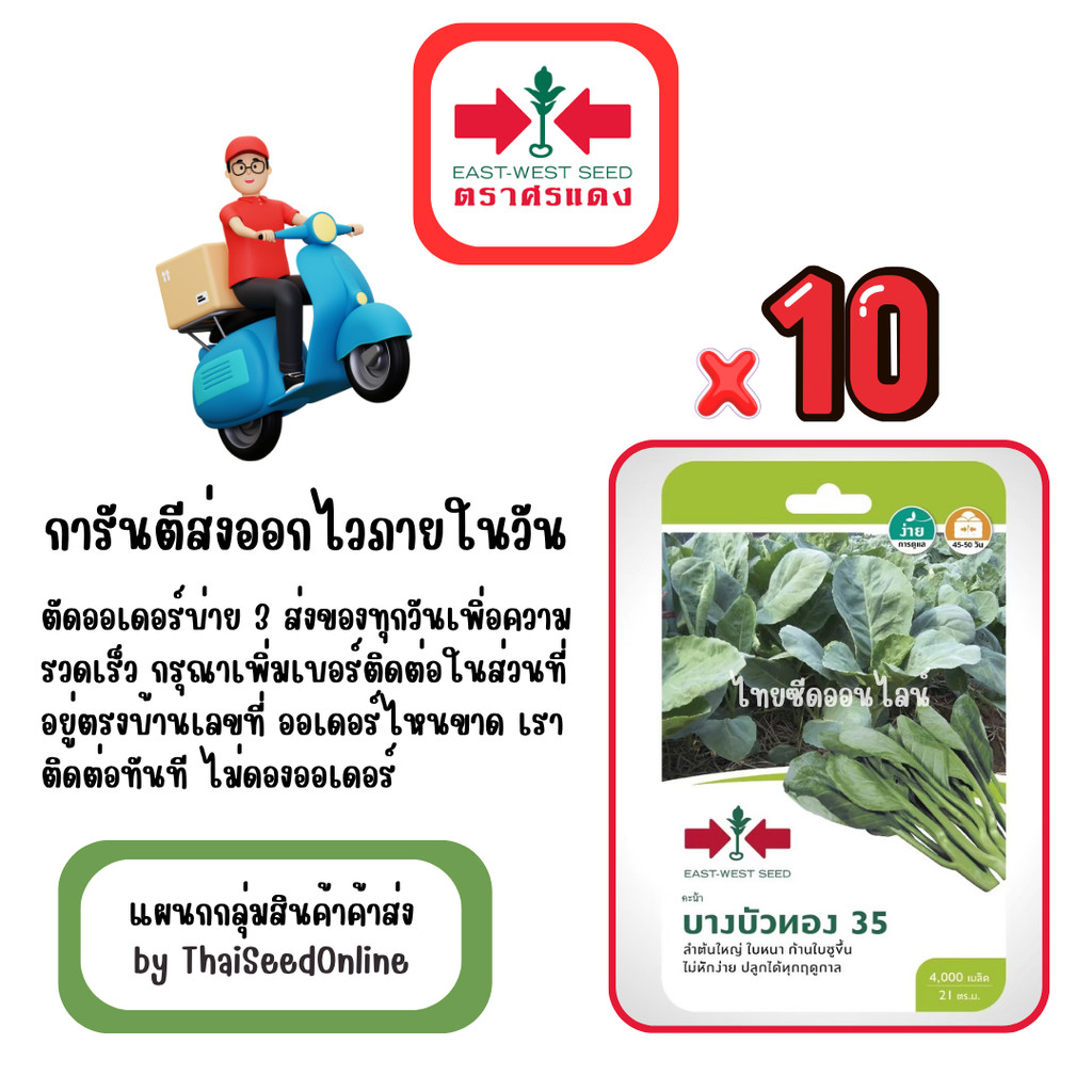 GG x 10 เมล็ดผักซองศรแดง บางบัวทอง คะน้า สินค้ายกแพ็ค