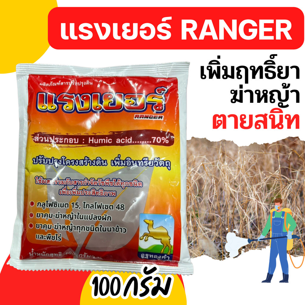 [100g] แรงเยอร์ ตายตายตาย สูตรพิเศษ ช่วยให้หญ้าตายเร็วขึ้น ตายนานขึ้น ไม่เป็นอันตรายต่อพืชหลักผสมคู่กับยาฆ่าหญ้า