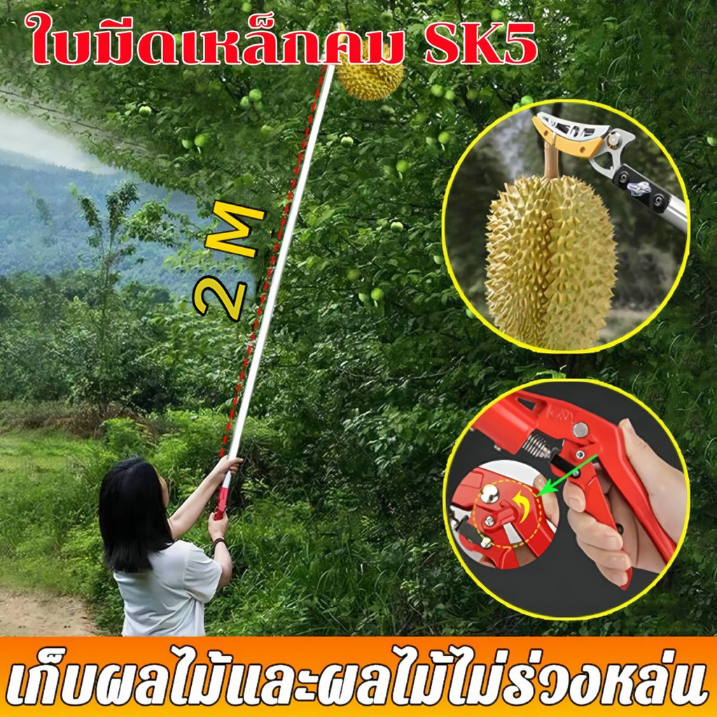 วัสดุสแตนเลสกรรไกรตัดกิ่ง ตัดกิ่งไม้เร็ว ประหยัดแรงงาน อุปกรณ์ตัดแต่งกิ่งมืออาชีพ กรรไกรตัดกิ่งด้ามยาว ตะขอตัดกิ่งไม้ ก