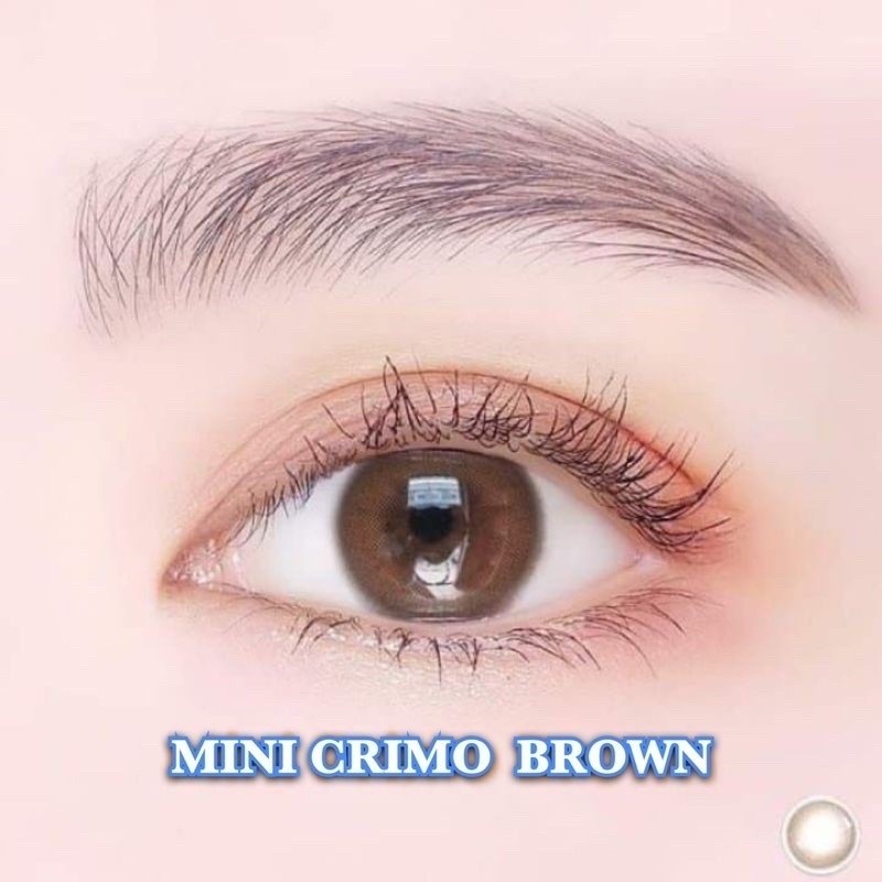 คอนแทคเลนส์(มินิ)🔥Crimo🔥(Gaezz Secret) สี : Brown / Gray รายเดือน มีค่าสายตา