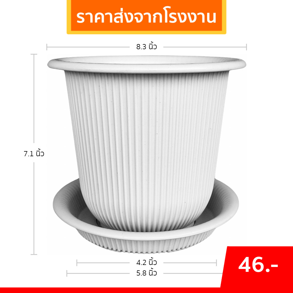 กระถาง กระถางต้นไม้ มินิมอล ฮีโร่ + จาน ขนาด 8 นิ้ว สีดำ สีขาว สีเทา สีอิฐ Bundle 5 ใบ ชิ้น อัน