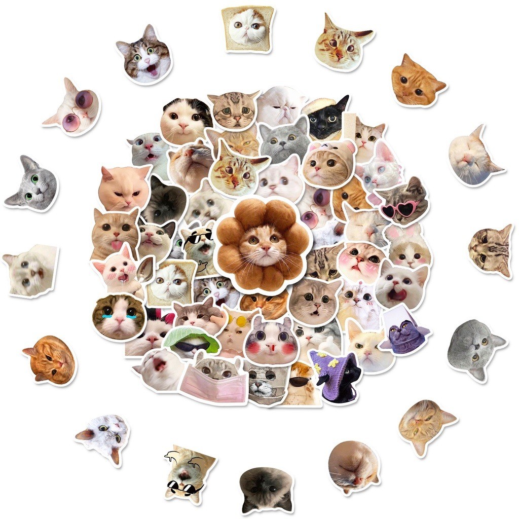 Y&P| ชุดสติ๊กเกอร์ Cat Meme Emoji ชุดสติ๊กเกอร์กราฟิตี้กันน้ำลายการ์ตูน, 50 แผ่น/ชุด