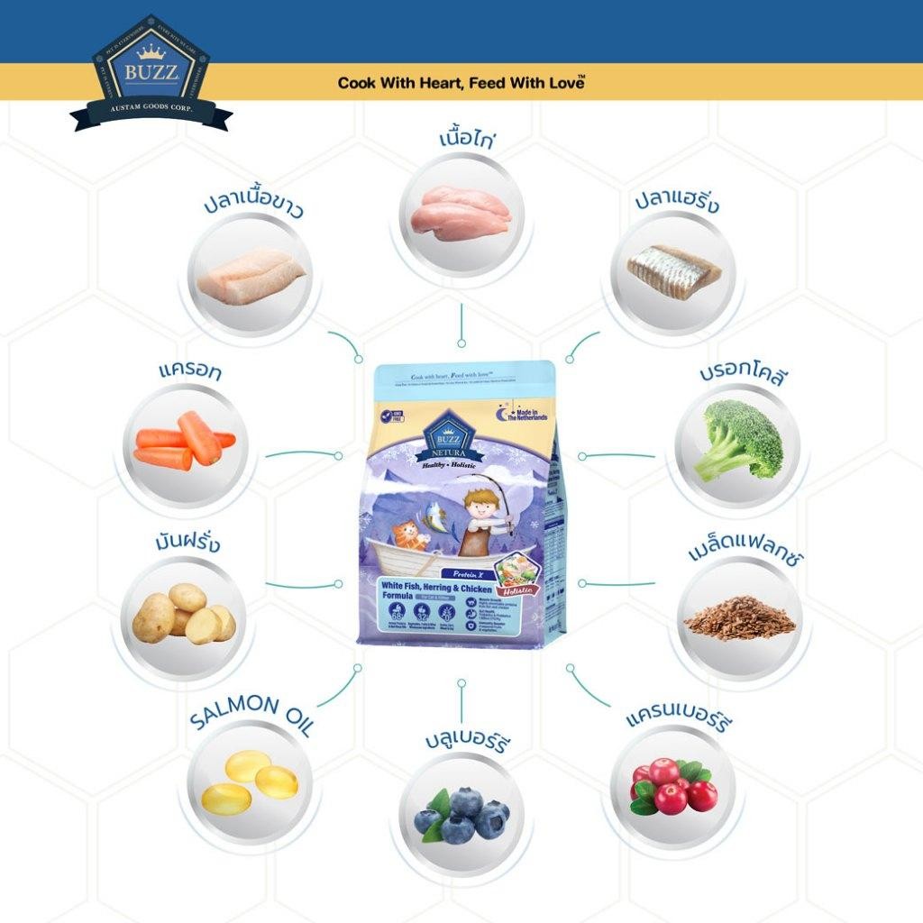 รูปภาพ 5