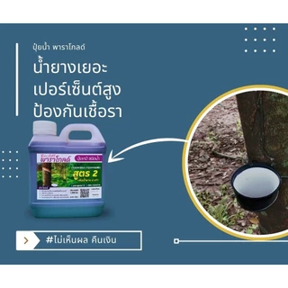 “พาราโกลด์” สูตร ทาหน้ายาง เพิ่มธาตุอาหารให้ต้นยาง อาหารเสริมกระตุ้นน้ำยาง เพิ่มน้ำยาง หน้ายางนิ่ม