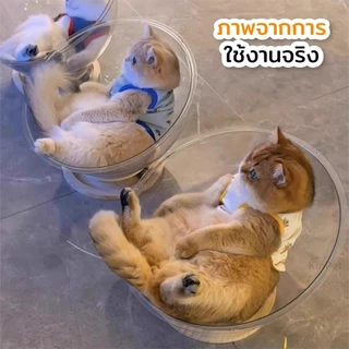 บ้านแมวที่นอนแมว แคปซูลที่นอนแมว อะคริลิค พร้อมรางบอลแบบรางไม้ หมุนได้ 360 องศา