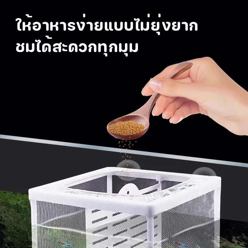 PetHaven ตู้แยกปลาคลอดลูก ตู้ฟักไข่ปลา แบบตาข่าย กล่องแยกปลา มี 4ขนาด การเลี้ยงปลาเป็นสิ่งจําเป็น thumbnail 5