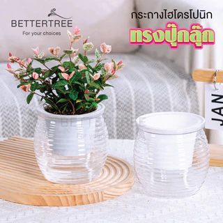 กระถางรดน้ำอัตโนมัติ(รุ่นปุ๊กลุ๊ก) ไฮโดรโปนิก รดน้ำอัตโนมัติ กระถางต้นไม้