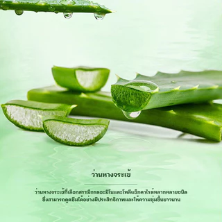 YTL🌵เจลว่านหางจระเข้🌵 Aloe Vera 99% 300ml บำรุงผิวให้ชุ่มชื่นทั้งผิวหน้าและผิวกาย