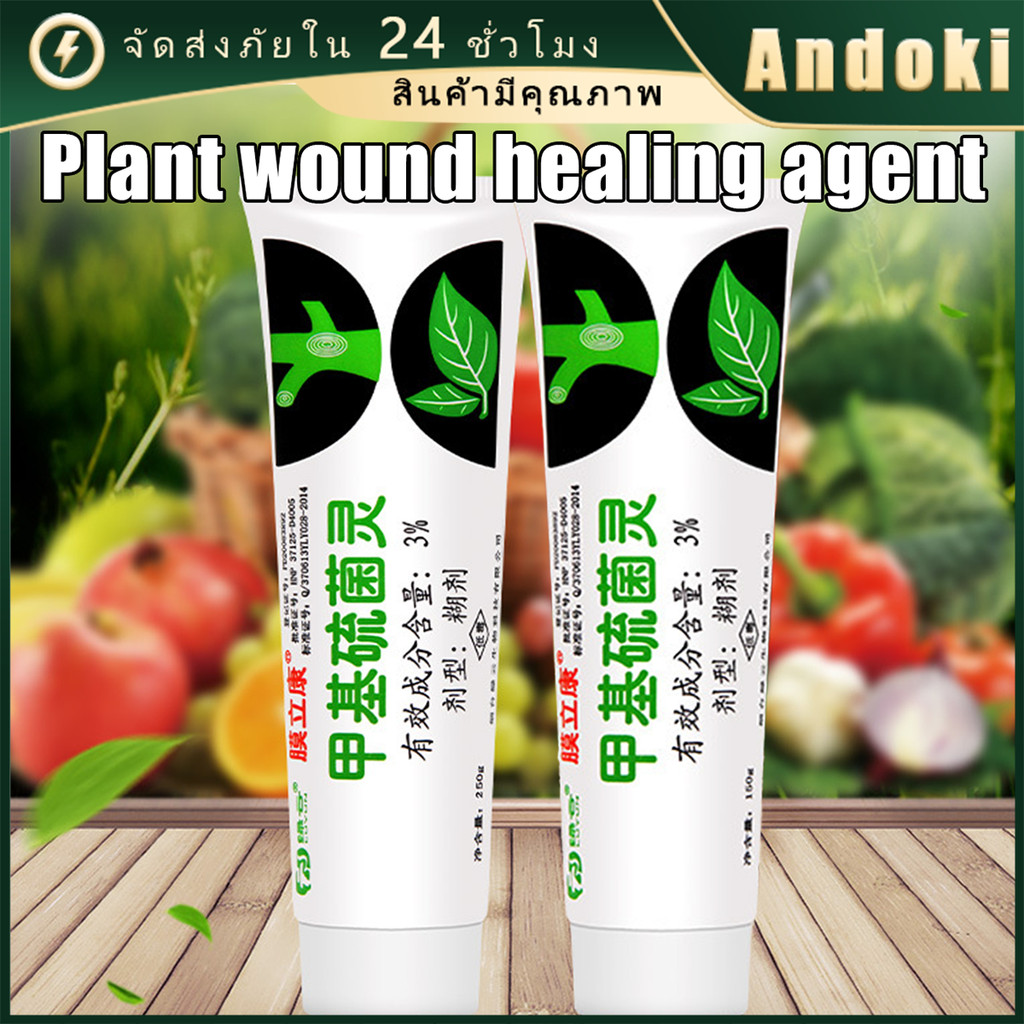 ยาทาแผลต้นไม้ 150g ป้องกันเชื้อรา ยาต้นไม้ สำหรับไม้ด่าง บุษราคัม เสน่จันทร์ กระบองเพรช บอนไซ