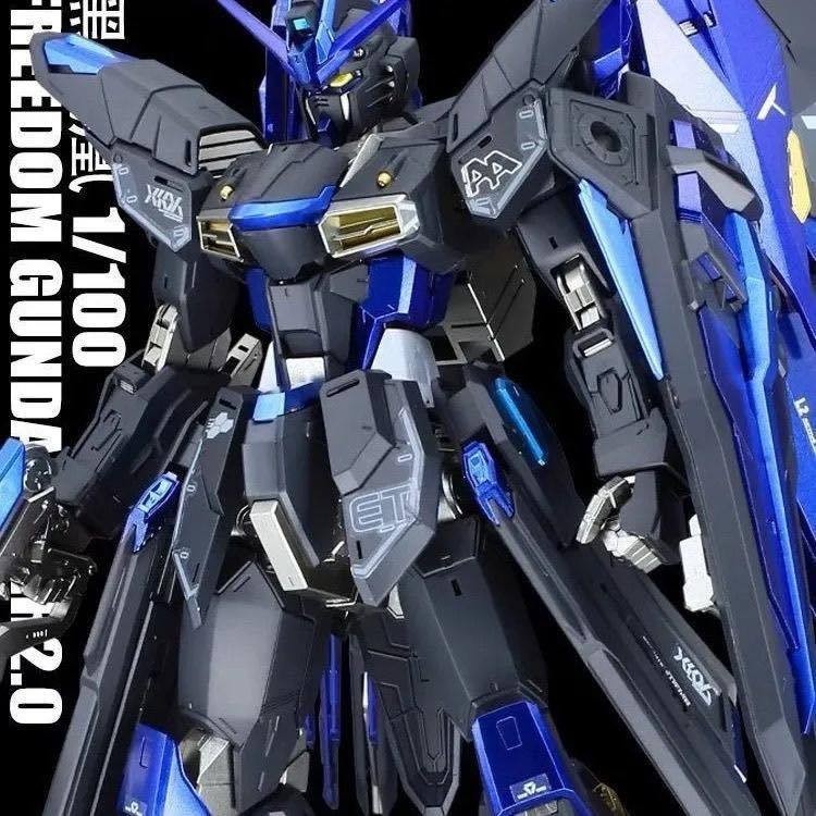 Daban 6650 MG 1/100 Freedom 2.0 Black Ver.
