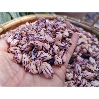 เมล็ดพันธุ์ ถั่วลิสงลายเสือ ถั่วลิสง เต็มเม็ดเต็มฝัก ถั่วจัมโบ้ ถั่ว พันธุ์ถั่วเสือ