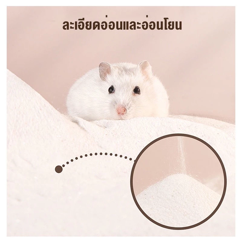 ✈️สินค้าอยู่ในไทย พร้อมส่ง✈️ห้องน้ำหนูแฮมสเตอร์ ห้องนอนหนูแฮมสเตอร์ ห้องน้ำเม่นแคระ thumbnail 5