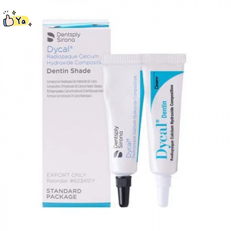 YABOSHI DENTSPLY Dycal Self-congealing Calcium Hydroxide วัสดุทันตกรรม (13g + 11g)