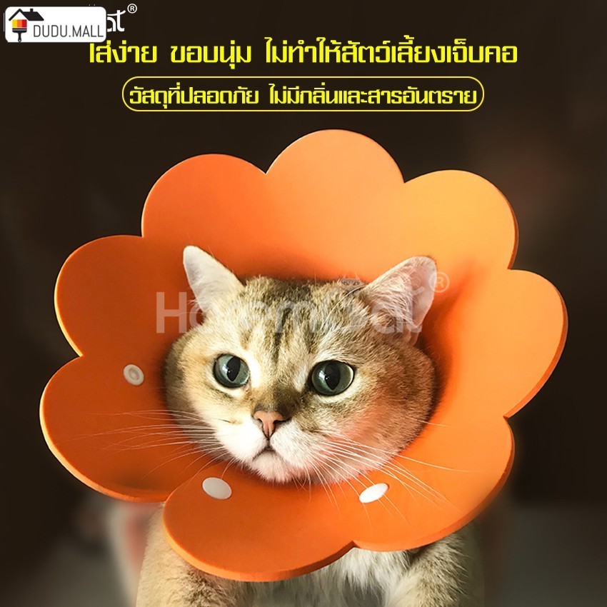 collar แมว กันเลีย คอลล่าแมว ปลอกคอกันเลีย คอลล่าสัตว์เลี้ยง ปอกคอสัตว์เลี้ยง ลำโพงกันเลีย ปอกคอกันเลีย สามารถปรับขนาดได