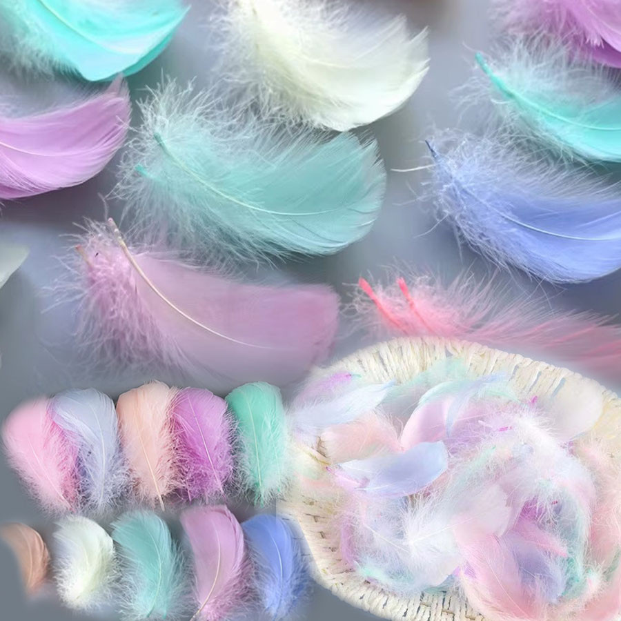 100/300ชิ้นที่มีสีสันขนนกหลายสีหัตถกรรมขนนกสําหรับทําเองต่างหูเครื่องประดับตกแต่งงานแต่งงานขนนกวินเบลล์หน้ากากศิลปะและงานฝีมือโครงการตกแต่งบ้าน