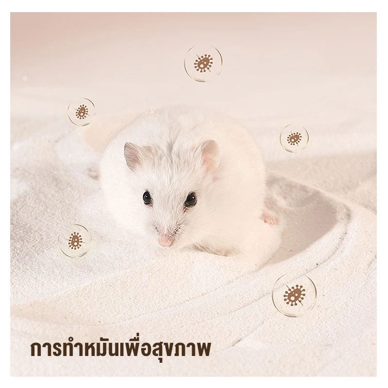 ✈️สินค้าอยู่ในไทย พร้อมส่ง✈️ห้องน้ำหนูแฮมสเตอร์ ห้องนอนหนูแฮมสเตอร์ ห้องน้ำเม่นแคระ thumbnail 7