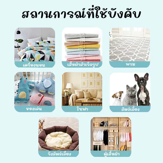 ยาฆ่าเห็บหมัด ยาเห็บหมัดหมา กำจัดเห็บและหมัด สเปรย์กำจัดเห็บ กำจัดเหาไรเห็บ