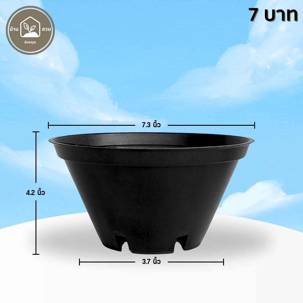กระถาง กระถางทรงชาม ขนาด เบอร์ 8 7.5 นิ้ว เตี้ย สีดำ