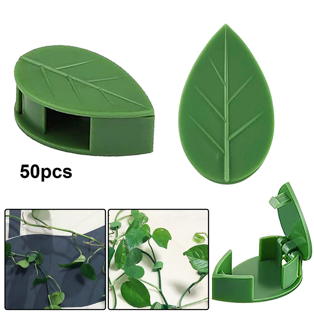 50 ชิ้นพืชสีเขียว Fixator หวาย Vine Buckle Leaf คลิปลวด Non-trace Climbing Wall Line อุปกรณ์