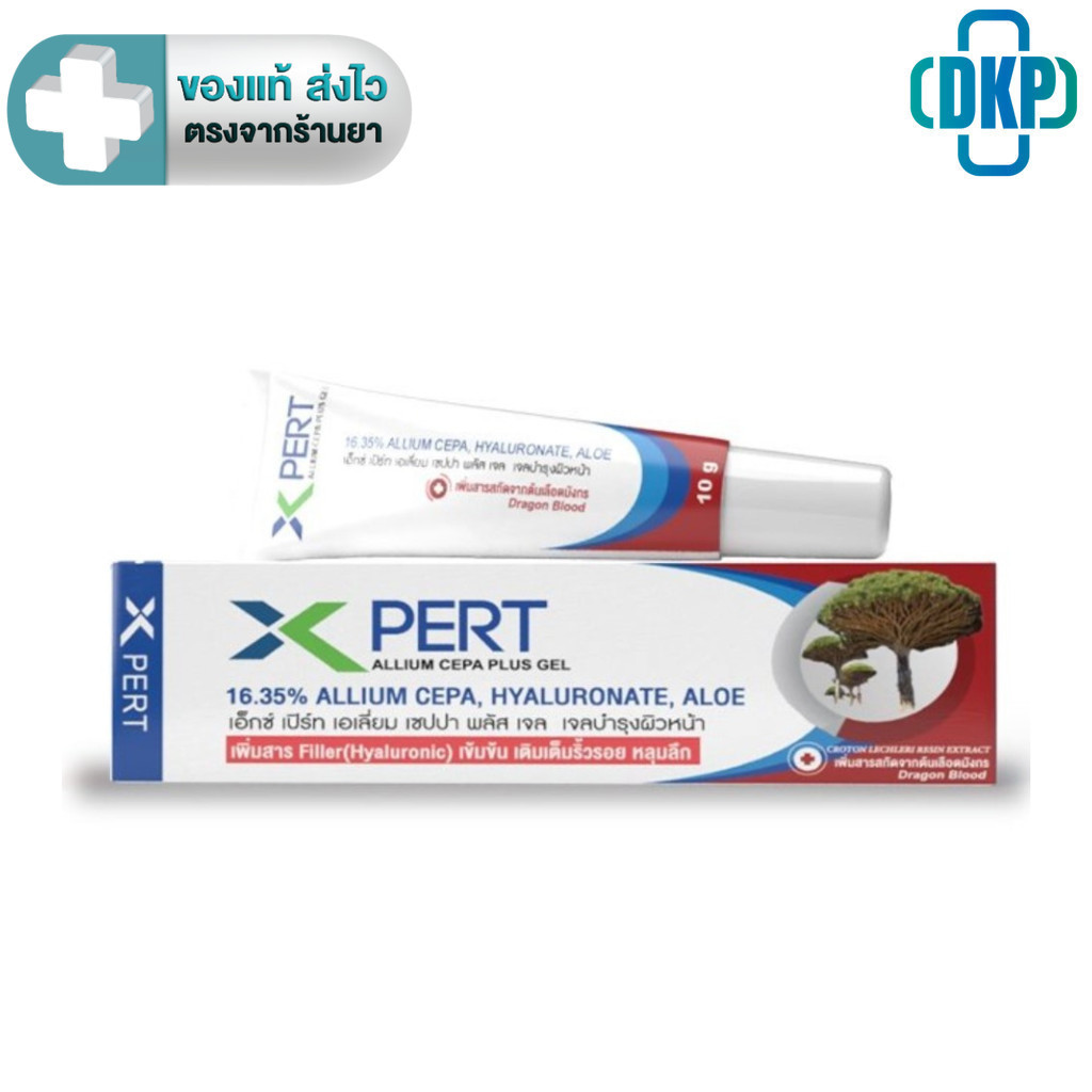 X Pert Allium Cepa Plus Gel เพิ่ม Hyaluronic และ สารสกัดจากต้นเลือดมังกร สูตรอ่อนโยน 10 g.[DKP]
