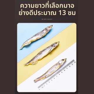 ขนมแมว ปลาไข่ฟรีซดราย freeze dried pet treat ปลาไข่แท้ ไม่ใช้วัตถุกันเสีย ขนมหมา เกรดA โปรตีนสูง