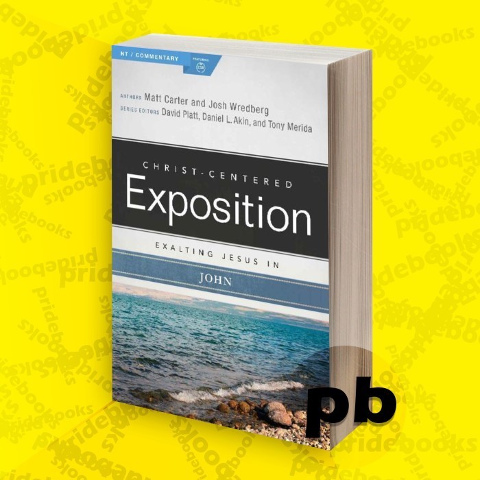Affiliated with Jesus in John (Christ-Zening Expedition Commentary)