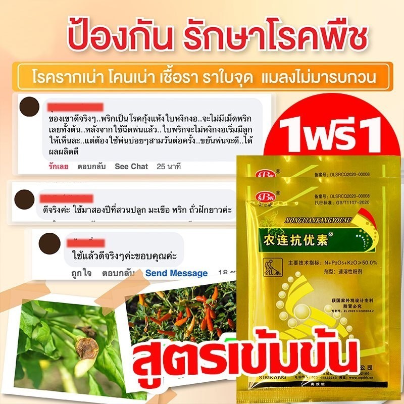 🌶️ซื้อ 1 แถม 1 🌶️วัคซีนพืชป้องกันโรคพริกเน่า โรคกุ้งแห้ง ผลเน่า โคนเน่า ใบหยิก ใบเหลือง โรคพริก เชื้อรา เชื่อไวรัส - รูปที่ 3