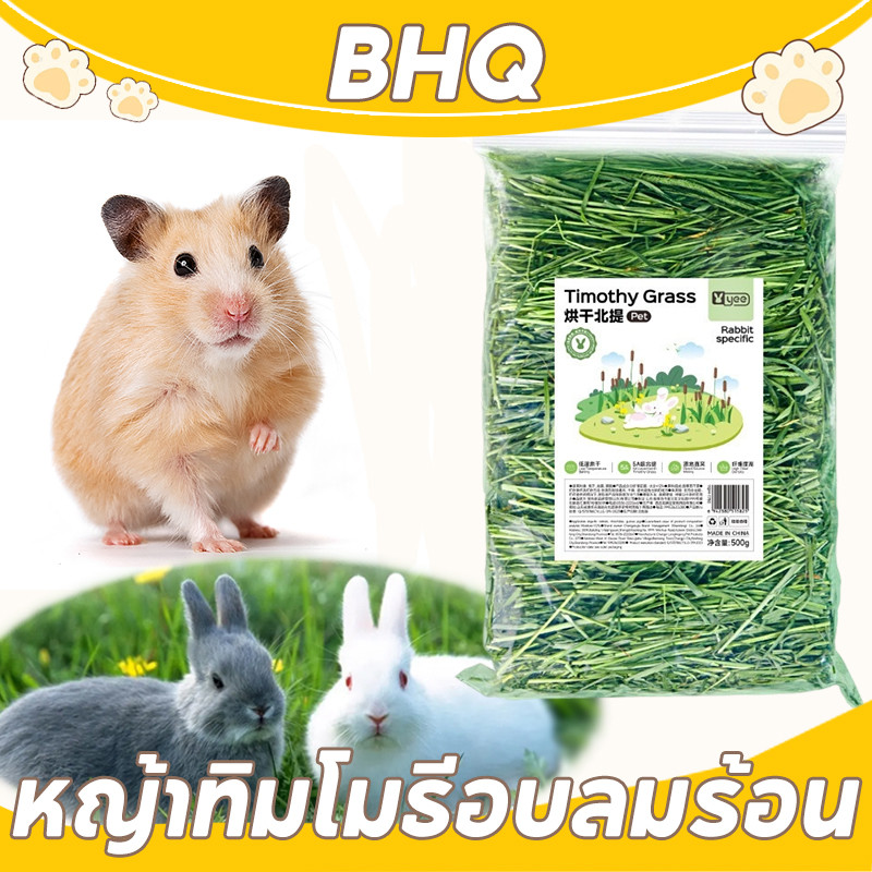 BHQ วีทกลาส หญ้ากระต่าย WheatGrassHay หญ้าทิโมธีพรีเมียม หอม หนูแกสบี้ ชินชิลล่า 500g ร่อนฝุ่น