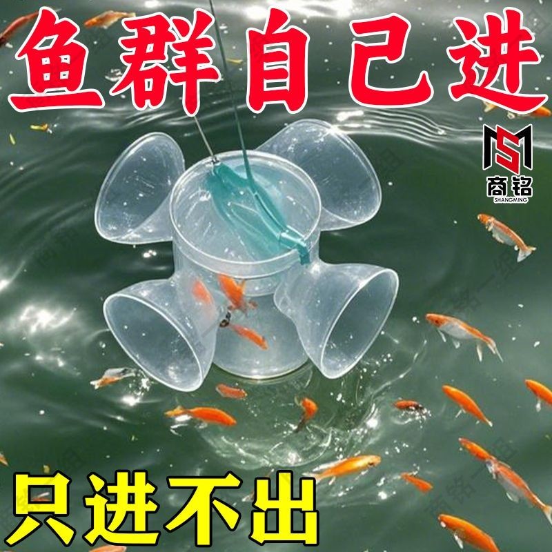 抓鱼工具A perfect tool for catching small fish, a children's fish-catching tool钓鱼抓小鱼儿童工具抓鱼神器鳑鲏白条麦穗鱼虾虎鱼耐摔