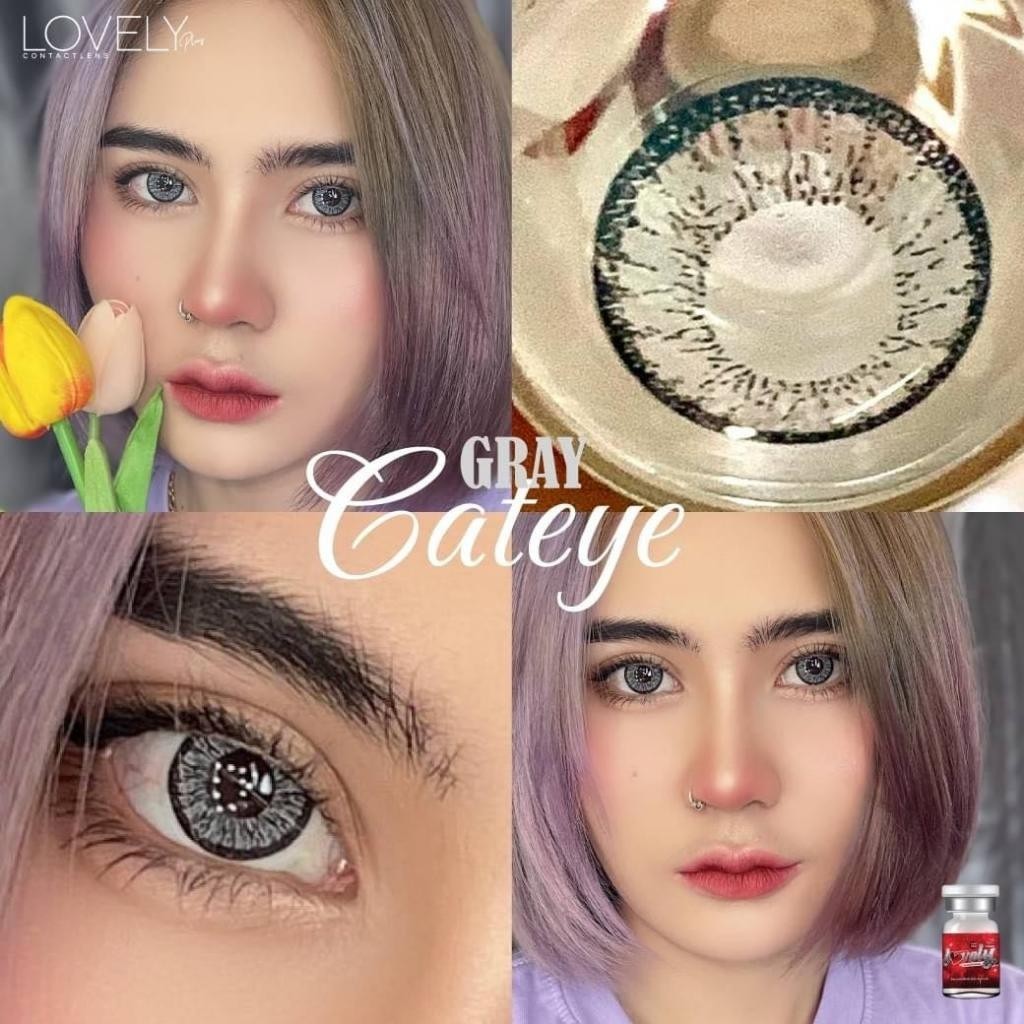 คอนแทคเลนส์ ขนาดบิ๊กอาย  สี : Brown / Gray  Cat eye (Lovelylens)
