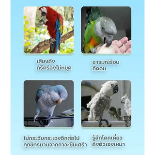 ของเล่นนก บันไดนก นกแก้ว ของตกแต่งกรง ติดตั้งในกรง