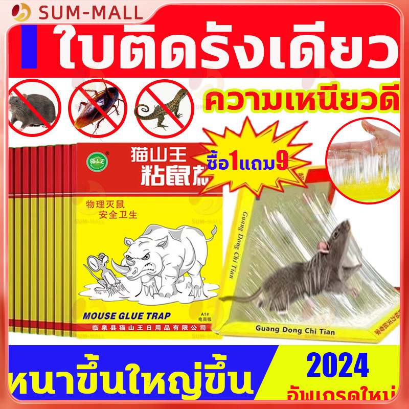 กาวดักหนู แผ่นกาวดักหนูสำเร็จรูป พร้อมถาด ที่ดักหนู ไม่มีกลิ่น หนูตายอยู่กับที่ ไม่ต้องหาซาก