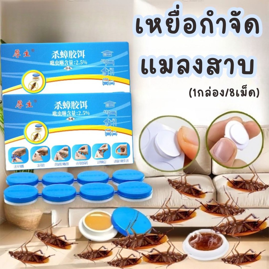 เหยื่อกำจัดแมลงสาบ ยากําจัดแมลงสาบ (1กล่อง/8เม็ด) ที่ดักแมลงสาบ ดึงดูดแมลงสาบ #AM-0024