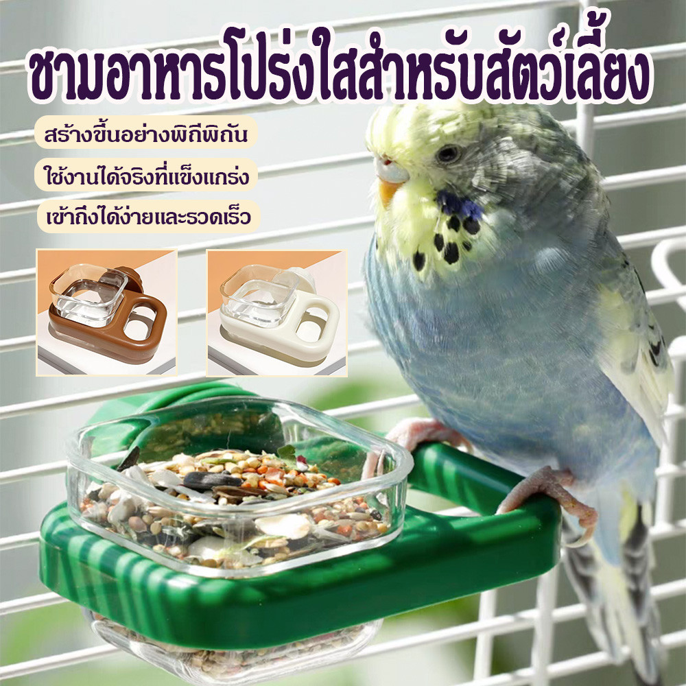 ชามน้ํานกแก้วให้อาหารนกทนทานที่ติดผนังลูกอมสะดวกสีนกเครื่องกรง,ถอดออกได้, ที่ถอดออกได้