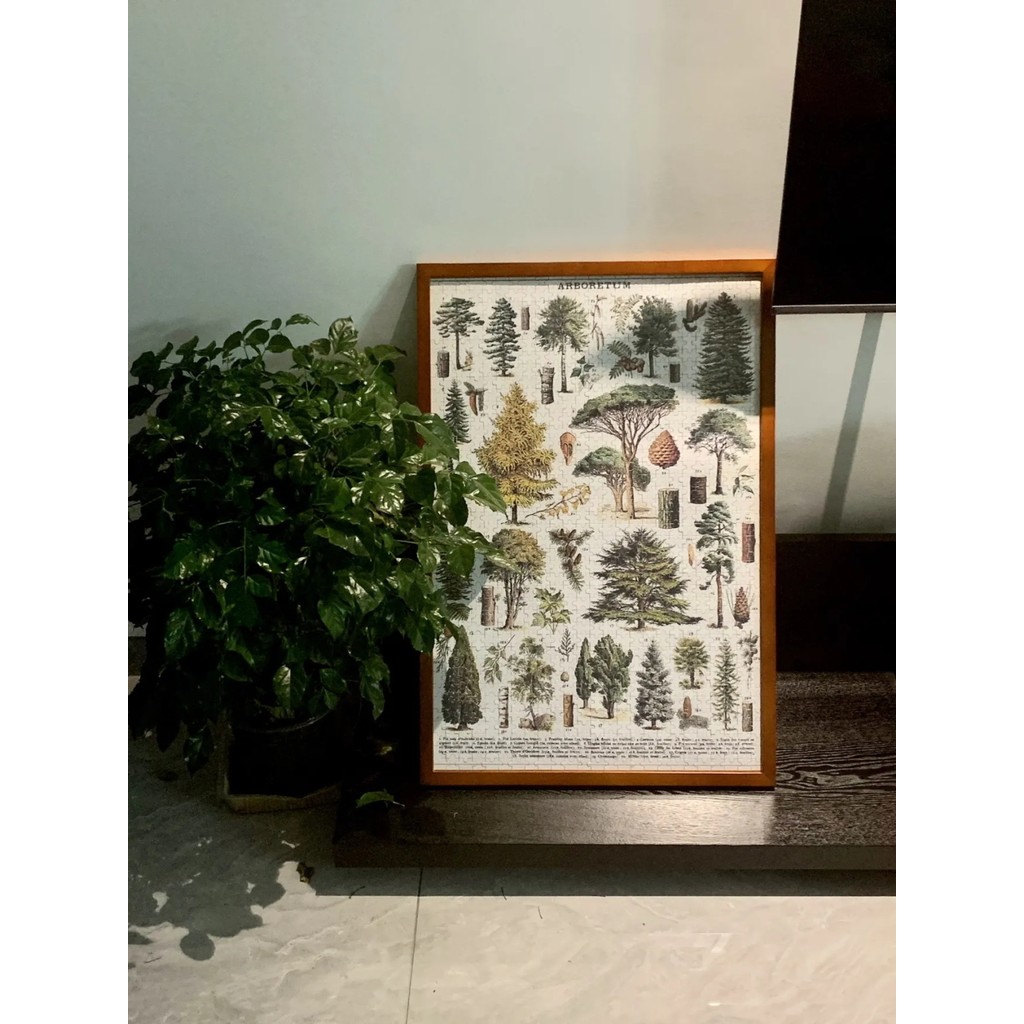 ที่ขายดีที่สุดกรอบรูปไม้เนื้อแข็งสีน้ํา 4K8 เปิด 1,000 กรอบรูปปริศนา 75 x 50cm300 Graffiti 520 ชิ้น 