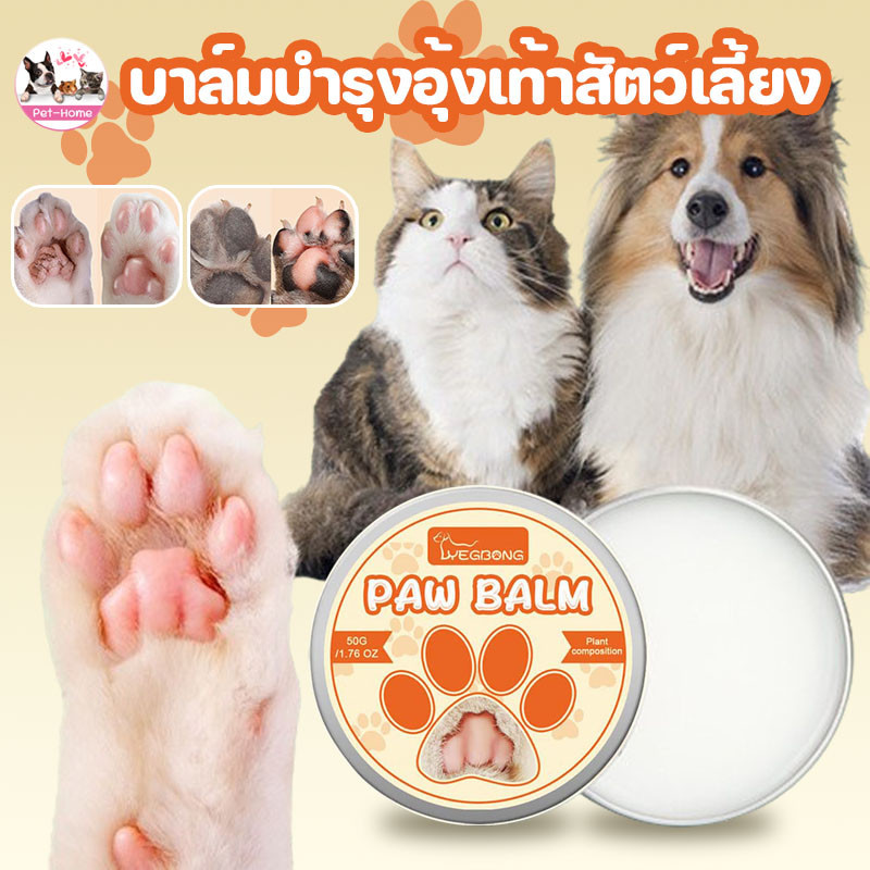 COD บาล์มบำรุงอุ้งเท้าสัตว์เลี้ยง 50g ช่วยให้อุ้งเท้าเนียนนุ่ม บาล์มบำรุงสำหรับสุนัขและแมว