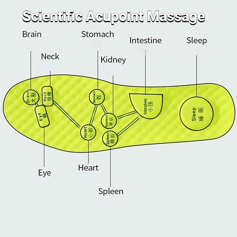 รูปภาพ 8