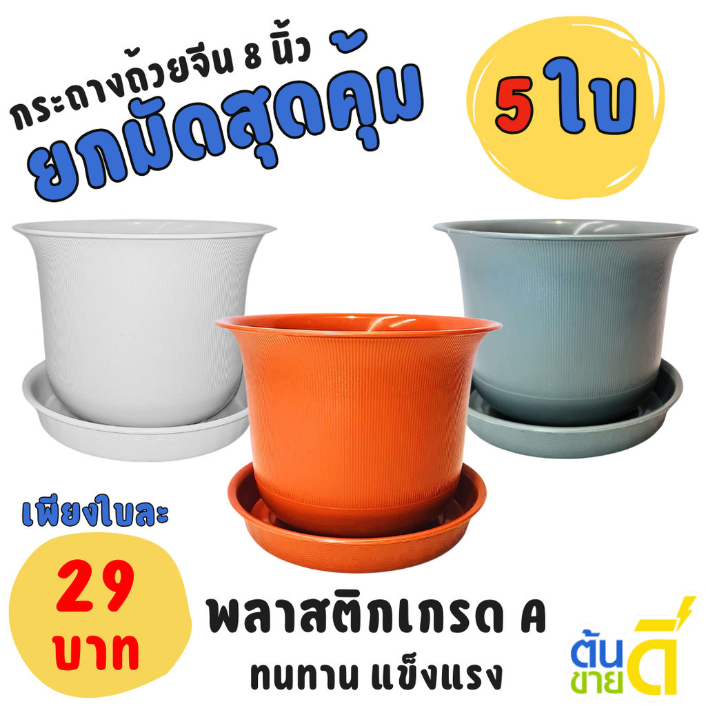 กระถาง กระถางต้นไม้ มินิมอล ถ้วยจีน+จาน ขนาด 8 นิ้ว สีขาว สีเทา สีอิฐ สีโอ๊ค สีเขียวพาสเทล Bundle 5 ใบ ชิ้น อัน