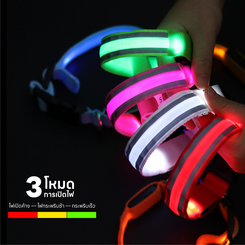 รูปภาพ 5