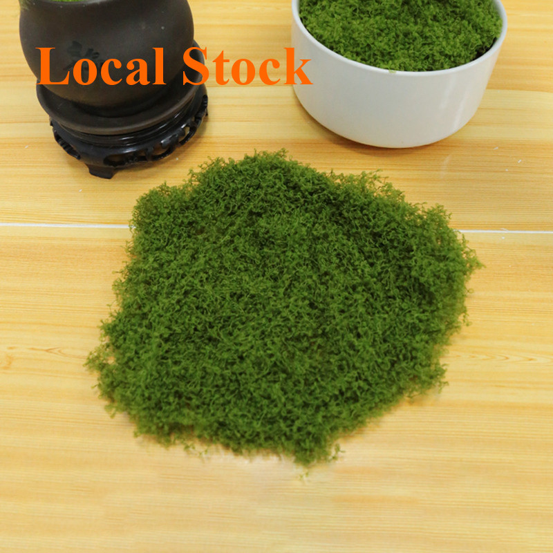 มอสเทียมประดิษฐ์ ไม่ต้องรดน้ำ 50/100/150 กรัม ตกแต่งบอนไซ DIY สวนหิน ของตกแต่งบ้าน